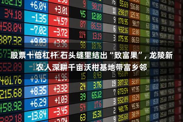 股票十倍杠杆 石头缝里结出“致富果”, 龙陵新农人深耕千亩沃柑基地带富乡邻