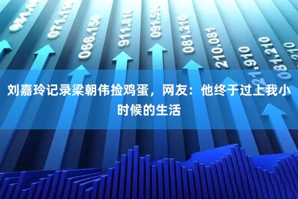 刘嘉玲记录梁朝伟捡鸡蛋，网友：他终于过上我小时候的生活
